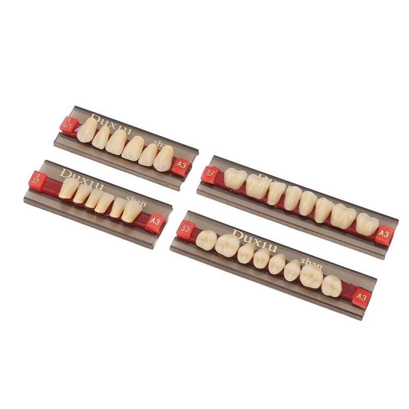 Dental Synthetic Resin Denture Tooth Professional Men Women Shade A3
