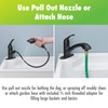 Homewerks Single Handle Pull Out Laundry Faucet 1 or 3