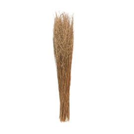 Deco 79 Dried Plant Home Decor Natural Foliage Tall Sticks Natural Dried Foliage with Grass, Foliage for Decoration 8" x 4" x 42", Brown