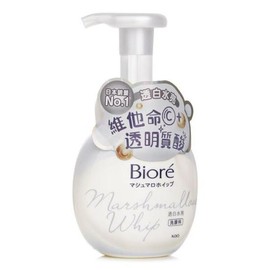 Biore Facial Wash Foam 160ml Gentle Cleansing / 비오레 페이셜 워시 폼 160ml 부드러운 클렌징