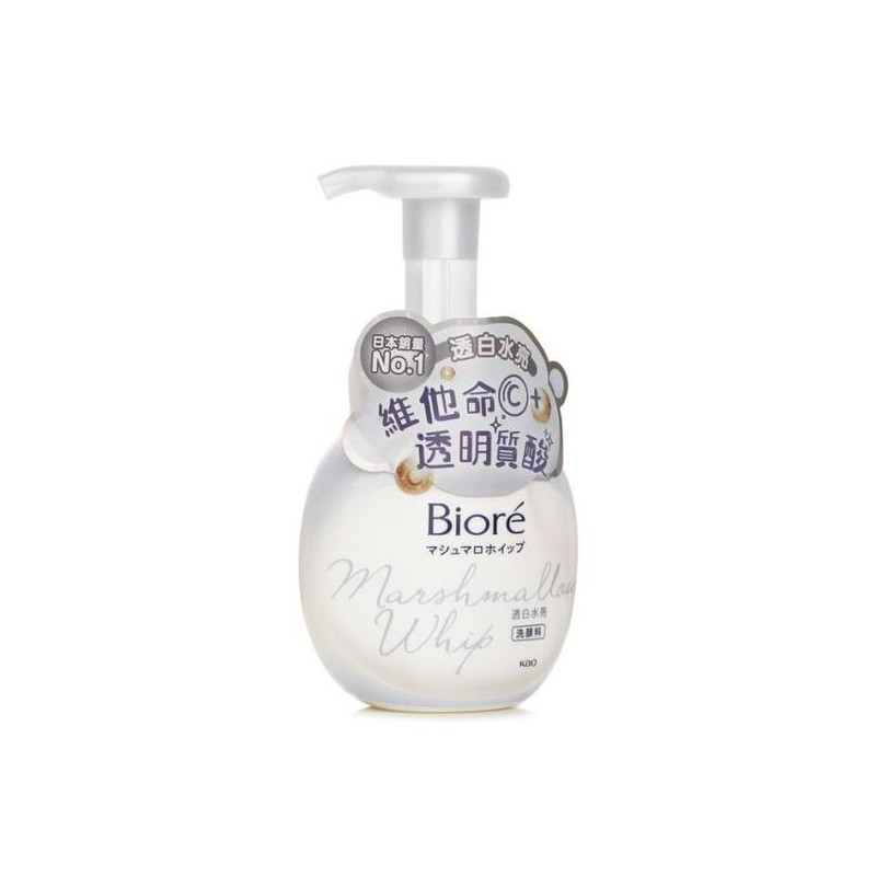 Biore Facial Wash Foam 160ml Gentle Cleansing / 비오레 페이셜
