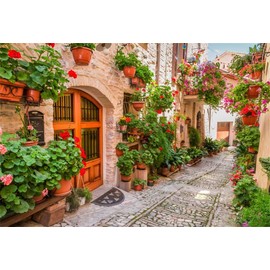Leyiyi 6x4ft Italian Town Street Ally Backdrop Spring Flowers Blossom Medieval Architecture Summer Holiday Travel Europe Photo Background Children Baby Adults Wedding Portrait Shoot Studio Vinyl Prop