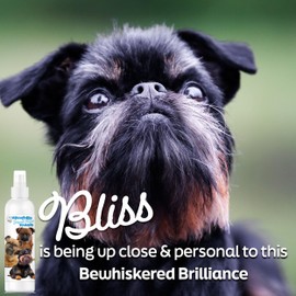 The Blissful Dog Blissfully Fresh Face Wash - Cleans Facial Folds and Wrinkles, 8-Ounce, Brussels Griffon