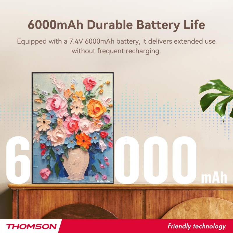 THOMSON Wireless Bluetooth Speakers with Art Painting Decoration,Ceiling Wall Mounted,Built-in