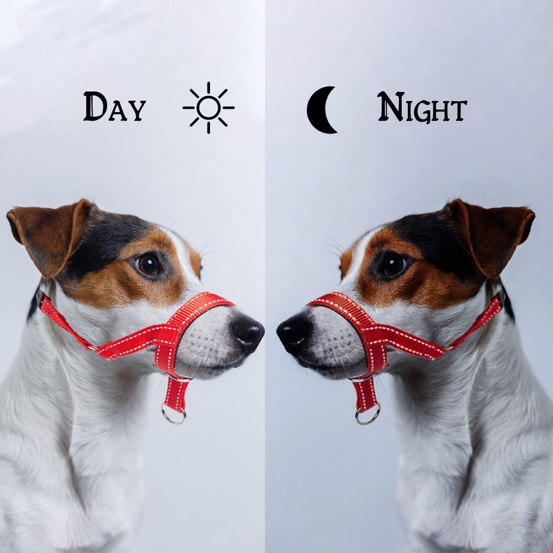 ILEPARK Dog Halter for Training - Colourful Head Harness for