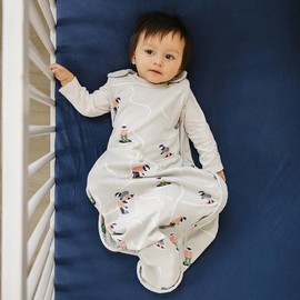 Woolino Toddler Sleeping Sack, 4 Season, Merino Wool and Organic Cotton, Baby Sleep Bag, 2-4 Years, Snowboarder