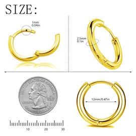 316 Stainless Steel Huggie Hoop Earrings, 10mm/12mm, Hypoallergenic (Gold, 10mm +12mm pair)