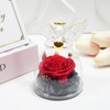 Yamonic Eternal Rose Gifts for Women,Preserved Real Rose in Glass