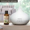 Eucalyptus Essential Oil, 1.7 fl oz (50 ml), Pure &