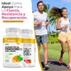 BioHerb® | Fenogreco 100% Puro Extracto Orgánico de Alta Concentración,
