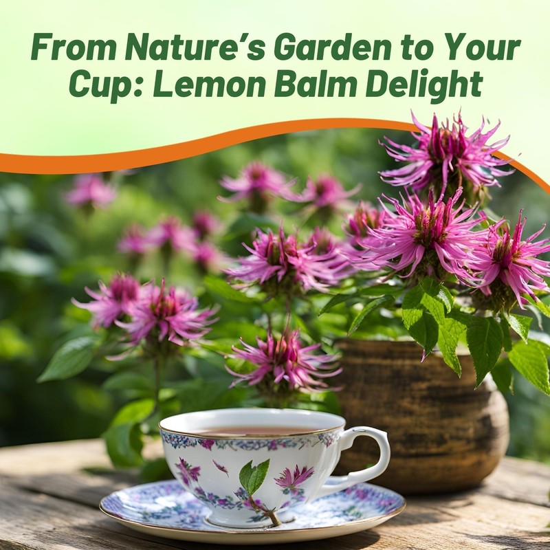 Outsidepride Lemon Bee Balm Seeds - 5000 Pcs Annual, Easy