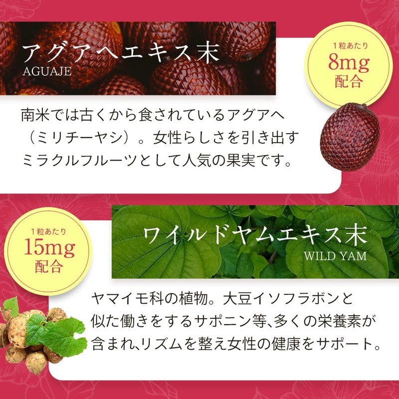 オーガランド (ogaland) AGUAJE ＆ WILD YAM (90粒 / 約3ヶ月分) サプリ