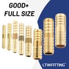LTWFITTING Assortment Kit Hose ID 1/8, 3/16, 1/4, 5/16, 3/8,