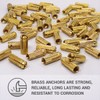 SKIR'CO (Pack of 30) Brass Drop in Anchor M10 x