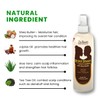 The Roots Naturelle Braid Sheen Braid Spray | 12 Fl