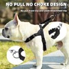 PUPTECK No Pull Dog Harness Medium Sized Dog, Adjustable Reflective