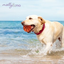 Molly & Mo Squeaky Dog Chew Toy Set (Basketball)
