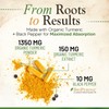 Turmeric Curcumin Supplement 1500mg - Organic Tumeric & BioPerine Black