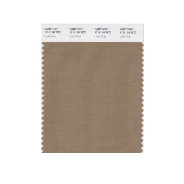 PANTONE SMART 17 - 1118X Color Swatch Card, Lead Gray