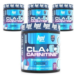 BP Sports CLA + Carnitine Omega 6 Unsaturated Fatty Acid Snow Cone, 350g, 4 pieces / 비피아이스포츠 CLA + 카르니틴 오메가 6 불포화지방산 스노우 콘, 350g, 4개