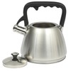 Mr. Coffee Armidale 2.5QT Whistling Tea Kettle, Large Brushed Stainless