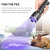 UV Flashlight Black Light Flashligh 4 Core 15W for Pet