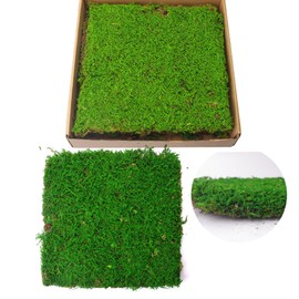 Preserved Sheet Moss Dried Moss Mat for Plant Cover Moss Craft Arts Floral Wedding Decor for Crafts (Mix-Color)