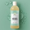 Tónico facial de menta 1 L, frescura e hidratación día