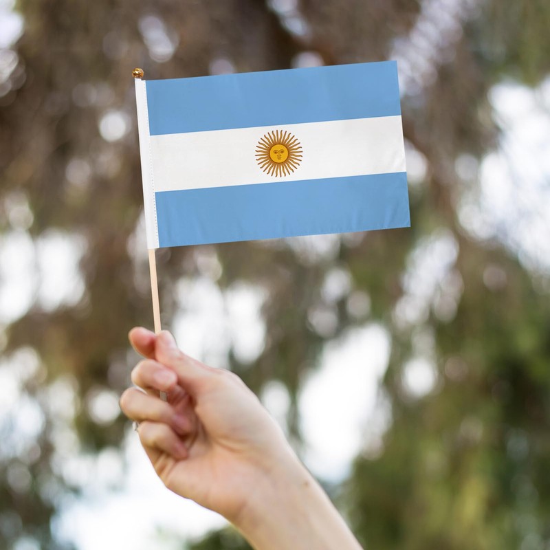 12 Piece Small Argentina Flag, 5 x 8 Inch Inserted