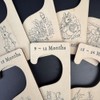 Luck and Luck Peter Rabbit Wooden Baby Clothes Dividers x