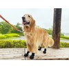 Anifull Anisapo Knuckle HERO L Size Black