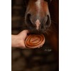 Equimour Metal Curry – Horse Curry with Brass Tines &