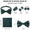 Enlision Bow Tie with Pocket Square for Men Paisley Pre-Tied