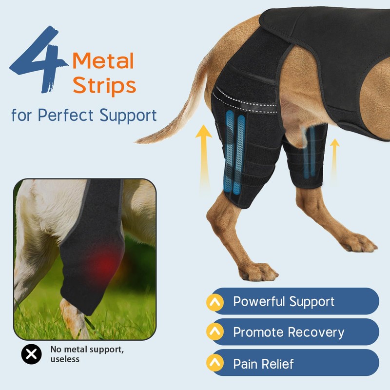 Dog Knee Brace for Back Leg, Adjustable Hip Support for
