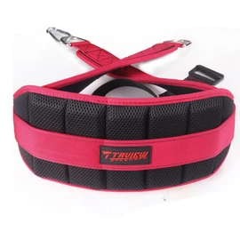 Belt for Belt Squats, Rack Attachment & Squat Machine, Weight Lifting&Powerlifting – Back Support, Low-Profile, Padded Hip & Thigh, Secure Buckle, Heavy Duty
