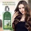 ANNAS Nettle Shampoo - Organic Formula,Helps Regulate Sebum Production, Reduce