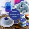 BLUE TEA - Butterfly Pea Flower Tea - 10 Count