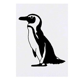 'African Penguin' Temporary Tattoo - Water Resistant, Skin-Safe, Non-Toxic Transfer (TO00032241)