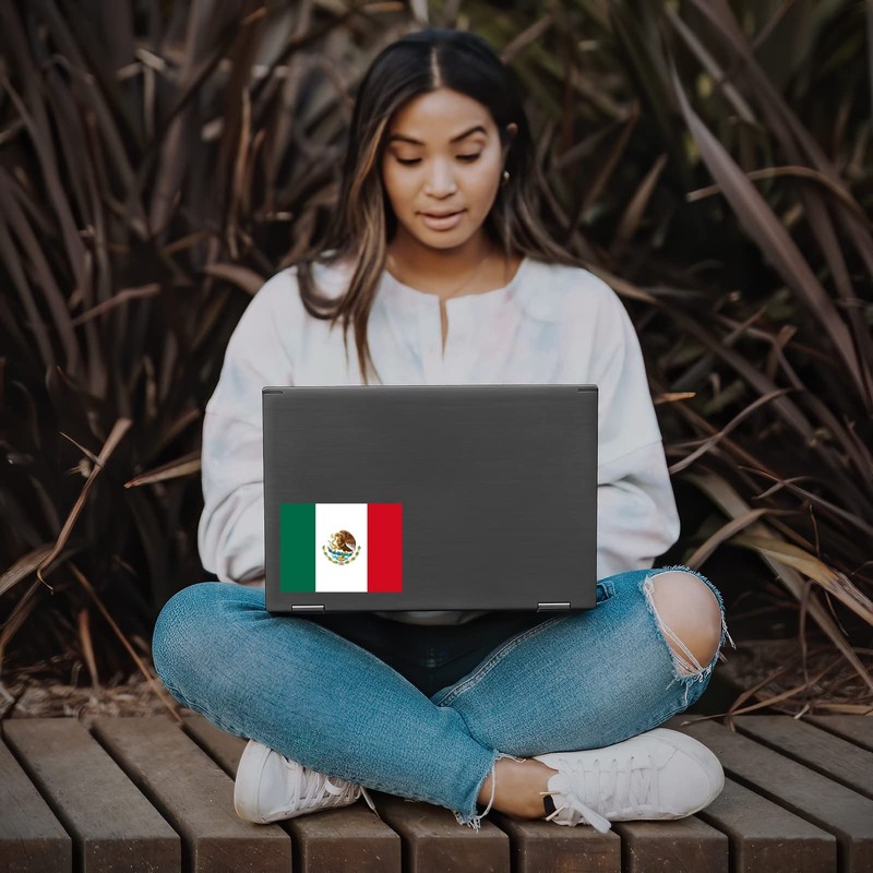 Flag of Mexico Sticker Decal Notebook Car Laptop 5.5"x4" (Color)