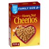 Cheerios Honey Nut Cereal Naturally Flavoured, 725g/25.6 oz, Imported from