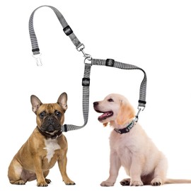 TAKMOO Correa para Perro, Correa Doble para Perros Ajustable, Correa Giratoria 360 ° sin Enredos, Reflectante Correas para 2 Perros Pequeño Medianos y Grandes, Cómodo, Amortiguador (Gris)