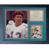 Legends Never Die "Dan Marino Portrait Framed Photo Collage, 11