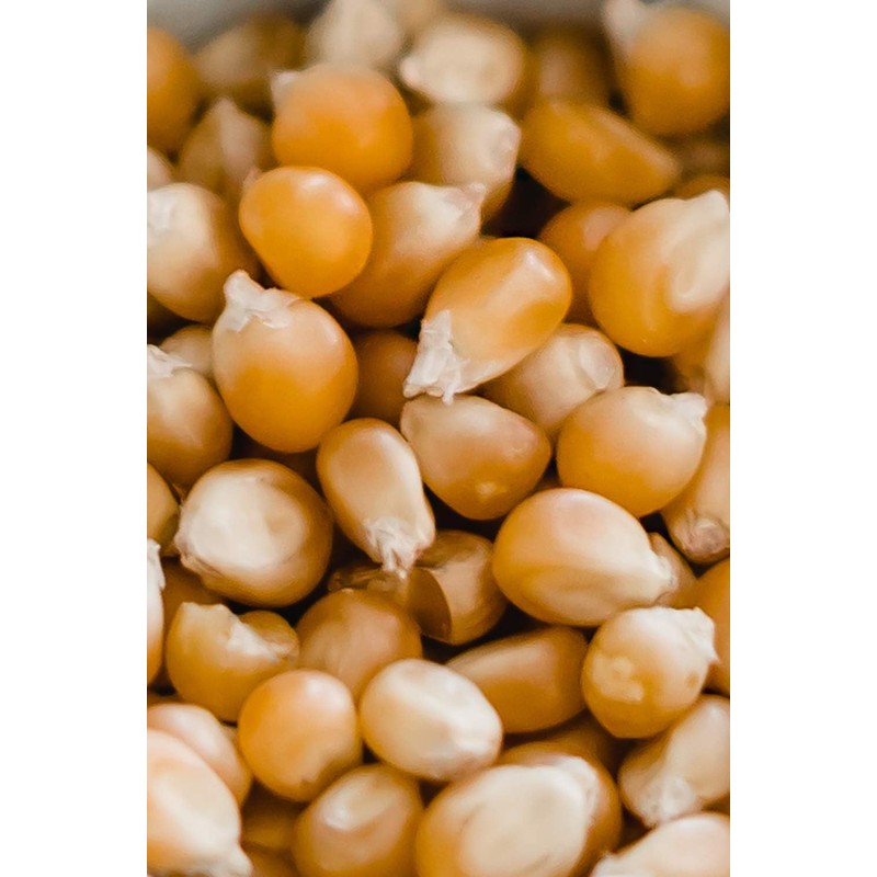 Amish Country Popcorn | 6 lb Bag | Mushroom Popcorn