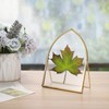 JUXYES 5x7 Inch Tabletop Double Glass Frame for Pressed Flowers,