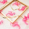 Elegani 10 LED Flamingo String Lights – Warm White Indoor