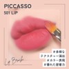 PICCASSO 501 Premium Lip Brush - Concealer Compatible, Uniform Color,