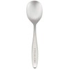 Horie TC-06-01 Titanium Cutlery Baby Spoon, Titanium Platinum