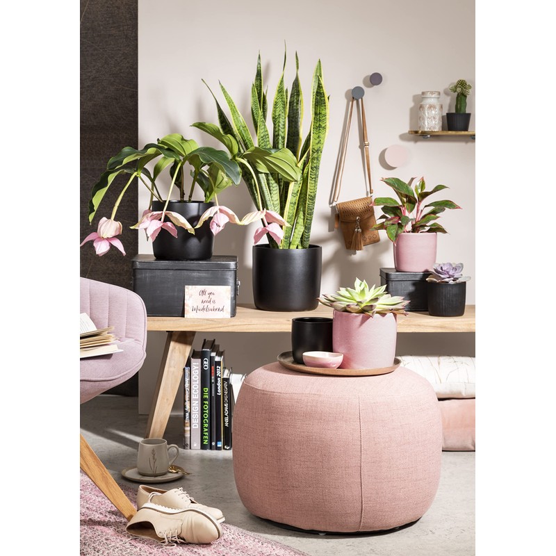 Scheurich Solido, Set of 2 Ceramic Flower Pots, Colour: Rosea,
