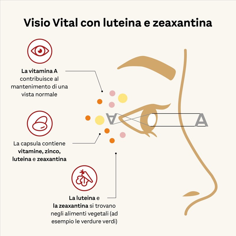 Doppelherz aktiv Visio Vital, Integratore Alimentare Vista, 90 Capsule