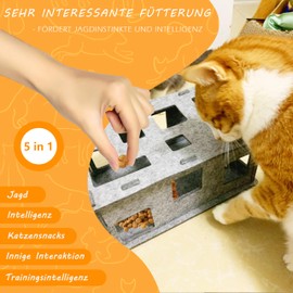 Sugeru Katzenspielzeug Selbstbeschäftigung aus Filz,Interaktives Katzenspielzeug Box zur Selbstbeschäftigung und Gemeinsam Spielen | Cat Futterspiel,Intelligenzspielzeug,katzentunnel
